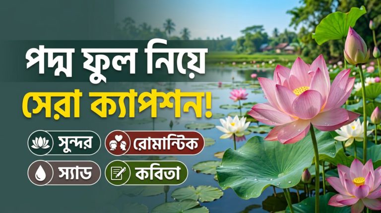 পদ্ম ফুল নিয়ে ক্যাপশন: সুন্দর, রোমান্টিক, স্যাড ও কবিতা